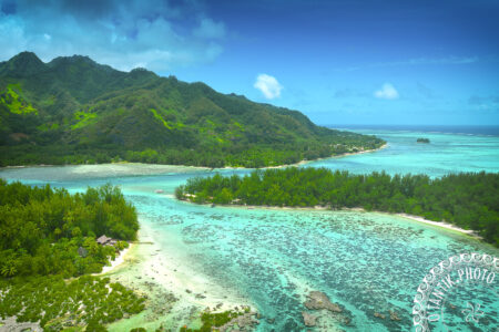 Le jardin de corail - Tiahura - Moorea