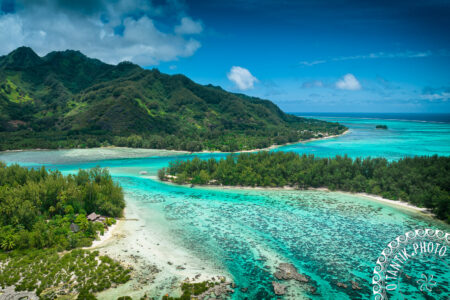 Le jardin de corail - Tiahura - Moorea