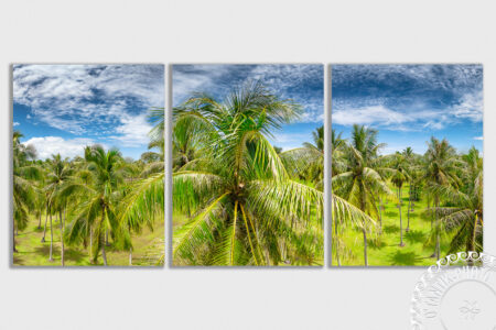 Atimaono - Tahiti