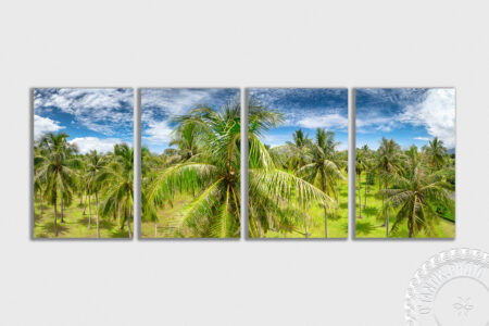 Cocoteraie de Atimaono - Papara - Tahiti