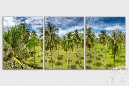 Atimaono - Tahiti