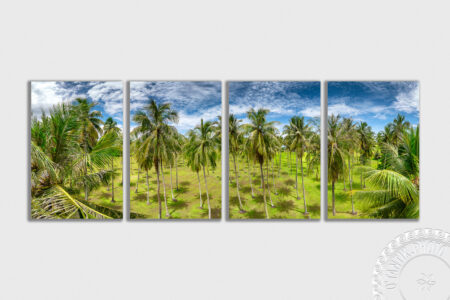 Cocoteraie de Atimaono - Papara - Tahiti