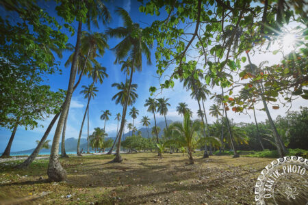 Moorea - Plage de Temae