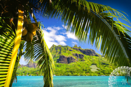 Baie de Cook - Moorea