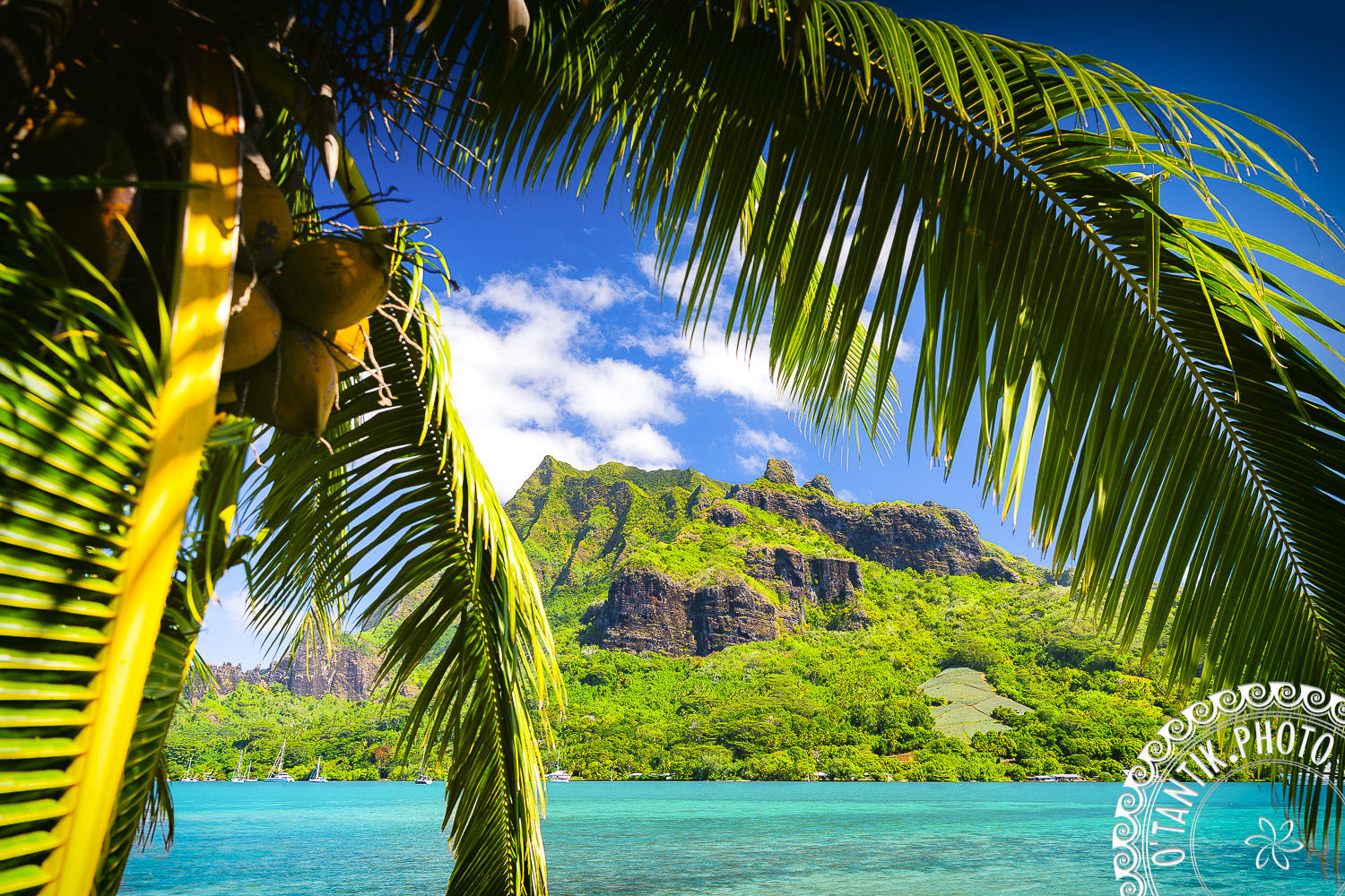 Baie de Cook - Moorea