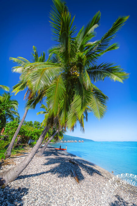 la Pointe des Pêcheurs - Punaauia - Tahiti