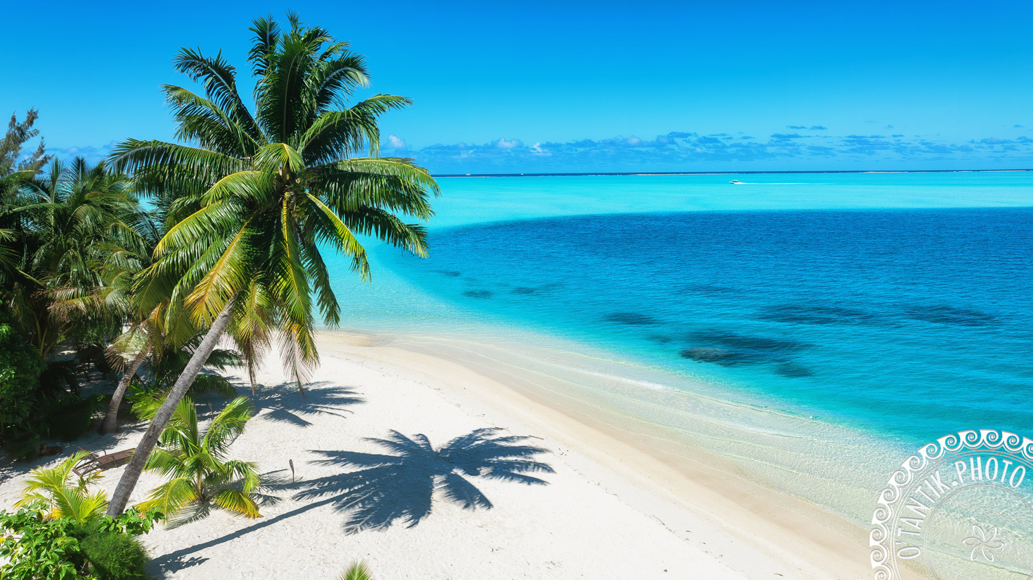 Tropical white sand beach in Bora Bora with coconut palm trees casting shadows beside clear turquoise lagoon waters and a bright blue sky.