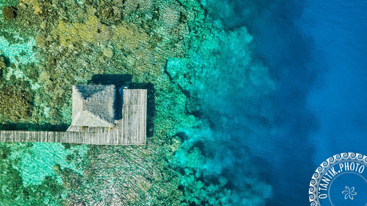 Top-down aerial view of a wooden overwater bungalow jetty and thatched roof over clear turquoise lagoon and coral reefs in Bora Bora.